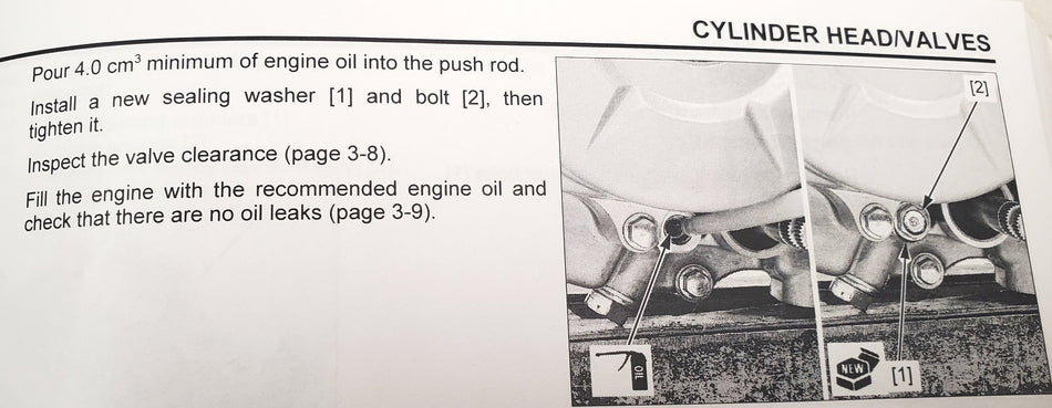 Cam Chain Tensioner Sealing Bolt and Washer - Factory Minibikes